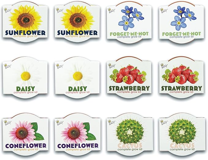 BUZZY Seeds Terracotta Mini Grow Pots | Herb, Plant, Flower Starter Kit for Kids & Adults | Assorted 12-Pack, Classic Collection | Guaranteed to Grow | Best Indoor-Outdoor Gardening Gift