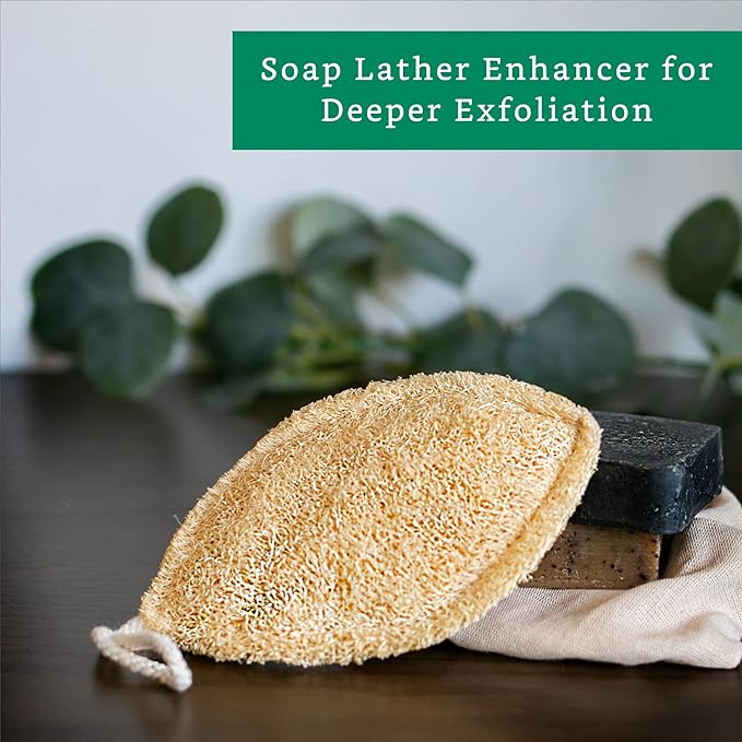 Natural Loofah Exfoliating Sponge (4 Pack) - Loofa Exfoliating Body Scrubber - Biodegradable Organic Loofah Sponge - Shower Luffa Sponges - Shower Lufa - Estropajos para el Cuerpo