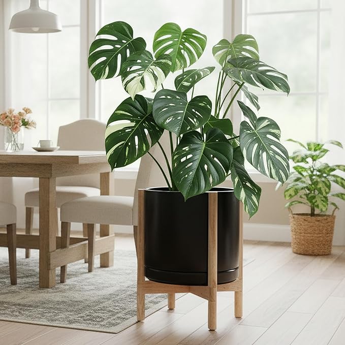 D'vine Dev Ceramic Planter with Natural Stand - 14 Inch Modern Round Flower Pot with Wood Planter Holder, Black, 55-B-R-2