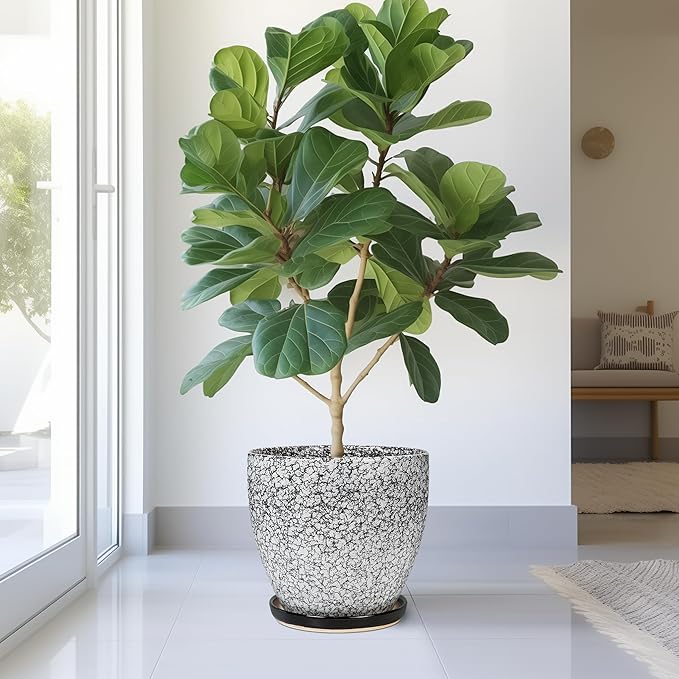 10 Inch Plant Pot - Ceramic Planter for Indoor Outdoor, Round Large Plant Pots, Modern Planter with Drainage Hole and Tray, Home Room Office Garden Decor, Gifts for Women Men, White-Black