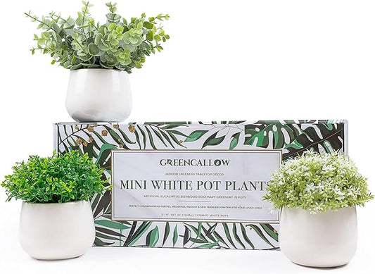 Artificial Plants for Home Decor Indoor. 4 Mini Plants, Rosemary Faux Plant Decor, Eucalyptus Plant, Grass Plants. Small Fake Shelf or Desk Greenery Décor (Ceramic-3)