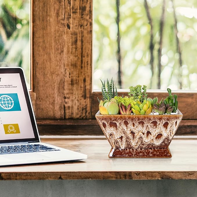 ARTKETTY Succulent Pots - 7 Inch Large Plant Pot with Drainage, Shallow Bonsai Pots Ceramic Succulent Planters for Indoor Outdoor Plants, Modern Cactus Pot Decorative Home Office