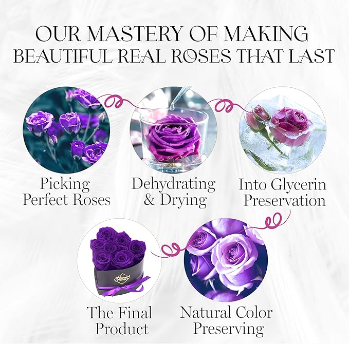 GLAMOUR BOUTIQUE 7 Flower Forever Heart Shape Box - Preserved Roses Gift for Her, Preserved Flowers, Purple