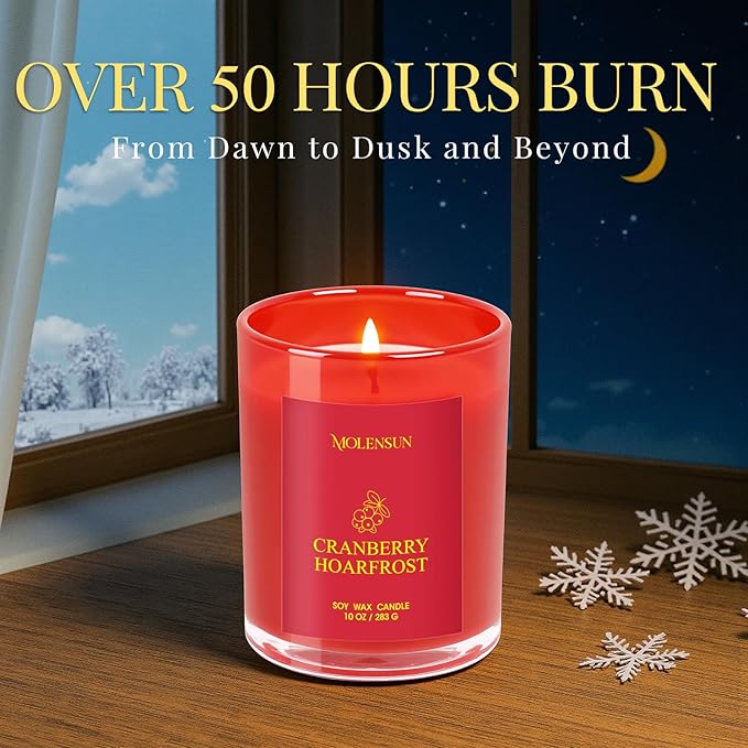 Cranberry Hoarfrost Candle, 10oz Soy Scented Candle for Home, Christmas Birthday & Holiday Gifts for Women & Men, Long Lasting 50+ Hour Clean Non-Toxic Burn, Elegant Winter & Christmas Home Decor
