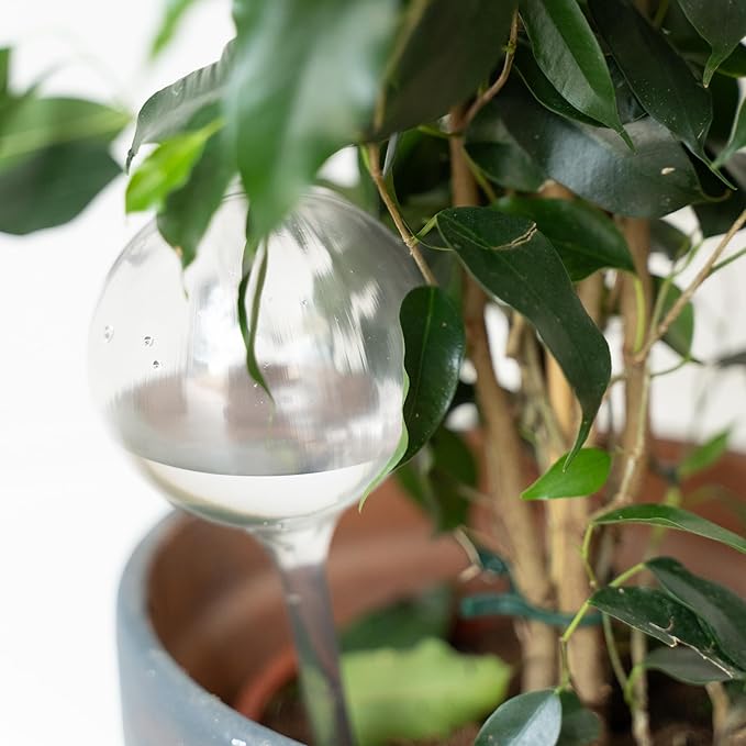 10 Pcs Clear Plant Watering Globes, Plastic Self Watering Planter Insert, Plant Watering Devices, Self Watering Planter Insert Free Soil Moisture and PH Meter Cotswold Homeware