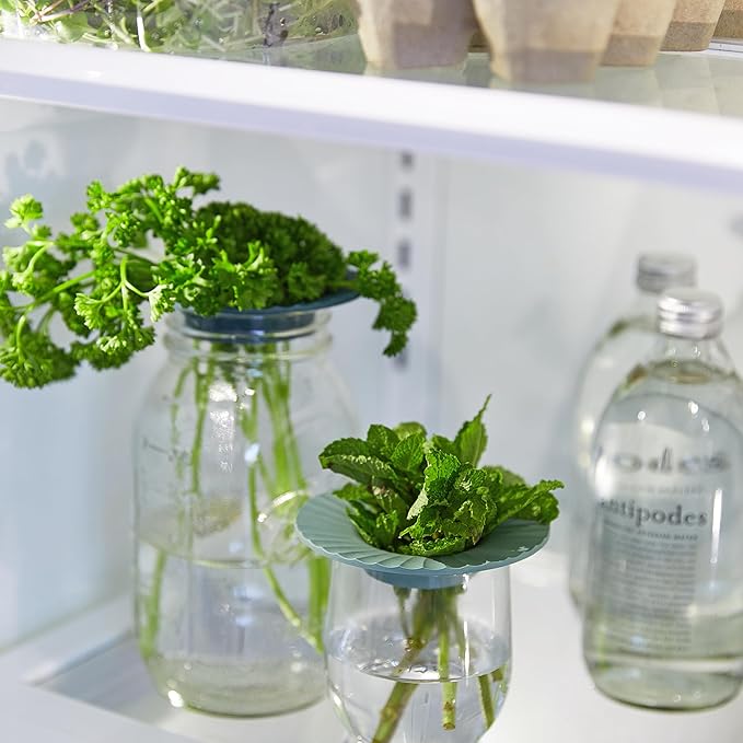 Modern Sprout Produce Keeper for Fresh Herbs & Greens - Eco-Friendly, BPA-Free, Sustainable Materials - Extends Freshness Up to 2 Weeks - Gift for Plant Lovers and Home Chefs - 2 Pack