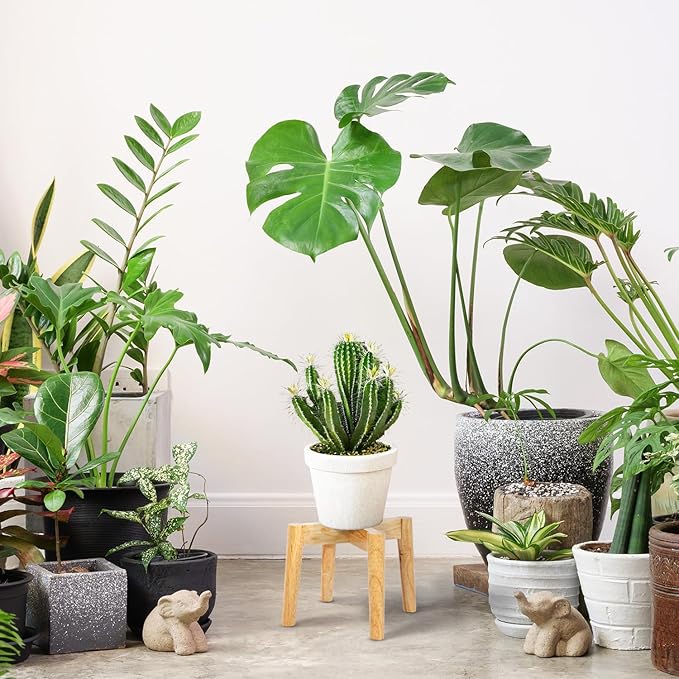 Wood 7.5" x 9.8" Plant Stand Indoor Outdoor, Wooden Single Floor Plant Pot Holder, Natural Plant Stand, Assembly Required (Excluding Potted Plants)