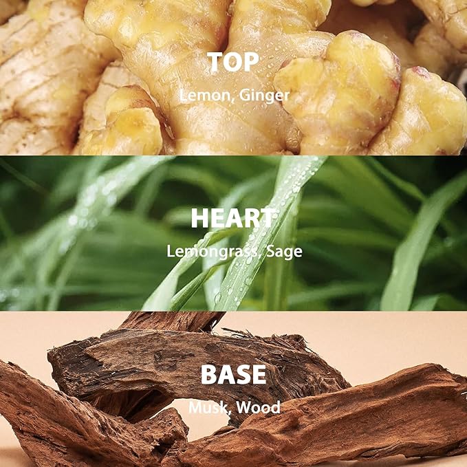 Lemongrass Sage Reed Diffuser Set, Large 9.85oz (280ml) Aroma Scented Oil Diffuser with Sticks, Long-Lasting Home Fragrance for Bedroom, Bathroom & Office Decor, Ideal Gift for Women