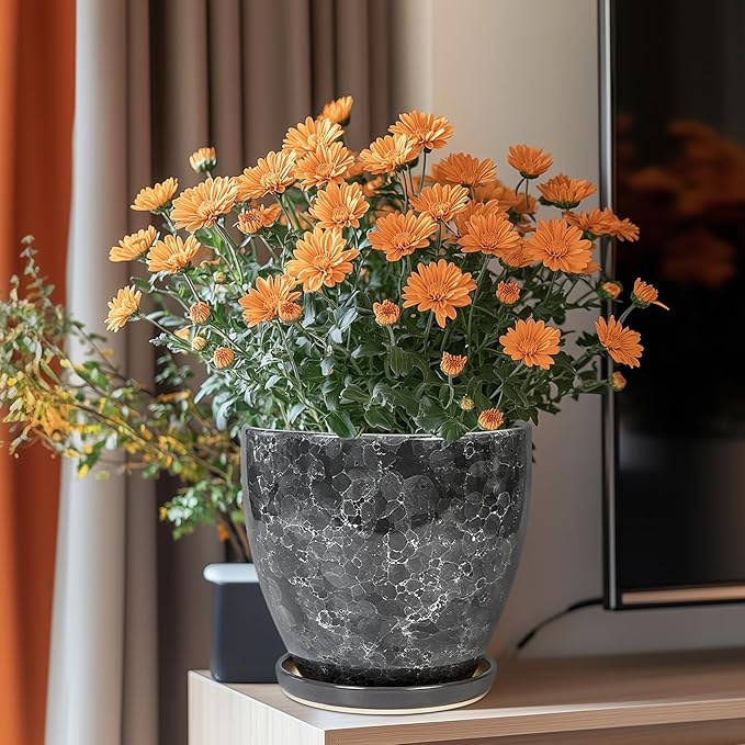 Ceraimc Planter - 8 Inch Plant Pot for Indoor Outdoor Plants, Decorative Round Planters, Flower Pot with Drainage and Saucer, Garden Porch House Room Decor, Plant Lover Gifts, Grey