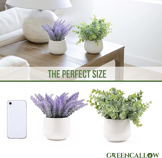 2 Pack in Ceramic Pot Mini Potted Fake Plants Artificial Eucalyptus Lavender for Home Office Desk Shelf Shower Kitchen Centerpiece Farmhouse Room Decor