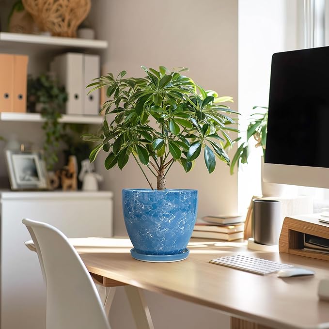 6 Inch Ceramic Plant Pot - Ceramic Planters with Drainage Hole and Saucer, Round Decorative Planter, Modern Planters for Indoor Outdoor Plants, Desk Office Decor, Housewarming Gifts, Blue