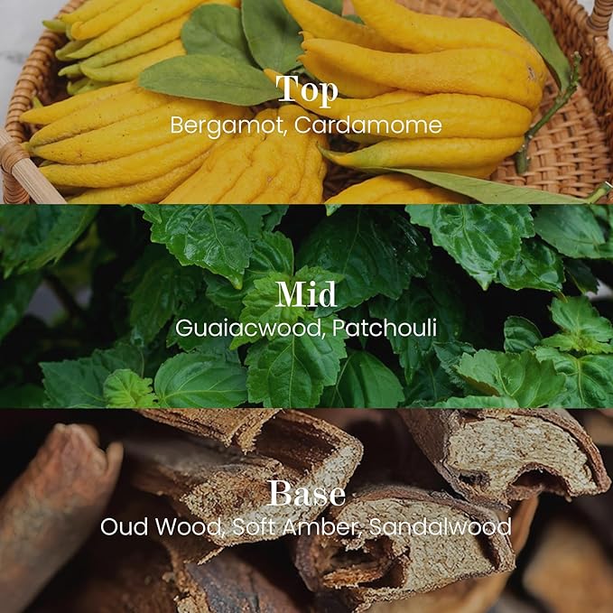 M&SENSE Natural Soy Candle| Oud Wood | 5.3 oz | Minimalist Scented Candle for Relaxation, Gifting, Home Décor | for Bedroom, Office, Party Small