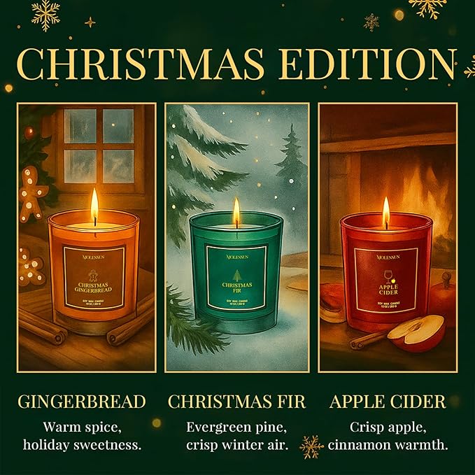 Apple Cider Candle, 10oz Soy Scented Candle for Home, Christmas Birthday & Holiday Gifts for Women & Men, Long Lasting 50+ Hour Clean Non-Toxic Burn, Elegant Winter & Christmas Festive Home Decor
