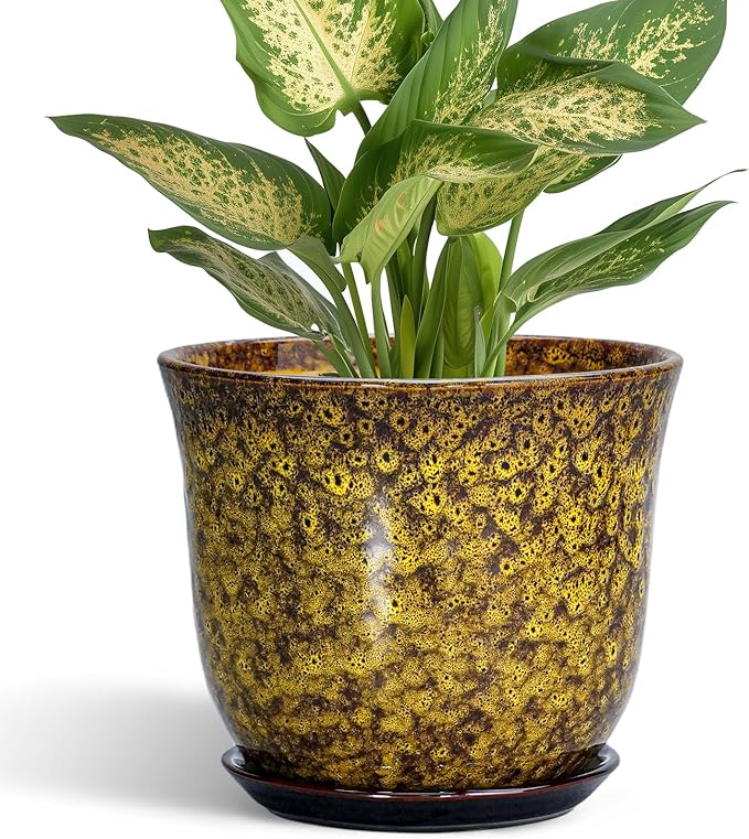 Ceramic Plant Pots - 5.6 Inch Planter with Drainage Hole and Saucer, Succulent Orchid Pots for Indoor Outdoor, Small Round Flower Pot, Room Window Office Decor, House Warming Gifts, Yellow