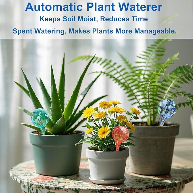 Self Watering Planter Insert Set of 4 - Small Glass Plant Watering Devices for Indoor & Outdoor Plants - Automatic Watering System for Daily Use