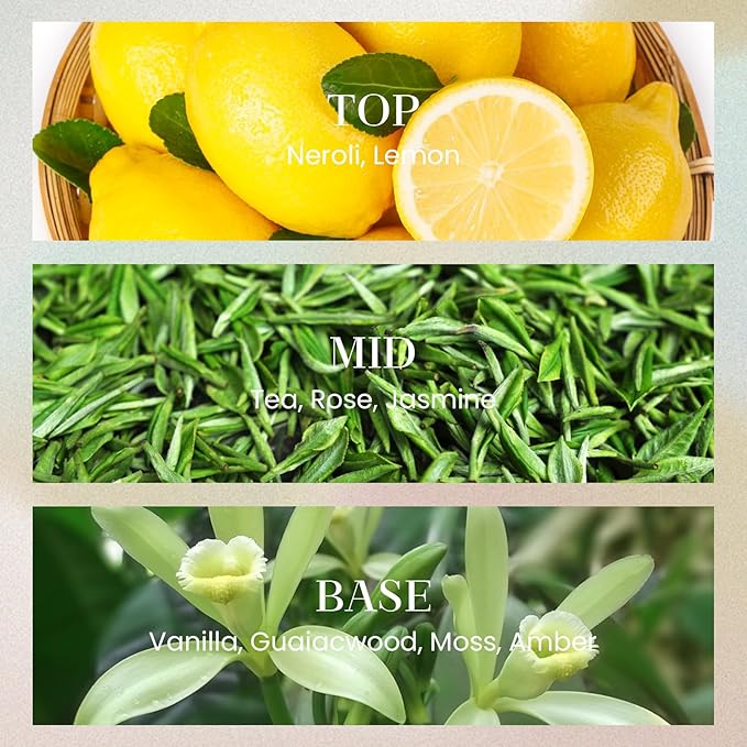 M&SENSE 6.3 oz Large Reed Diffuser Set | Neroli Noir Scent Oil Diffuser with Sticks | Hotel Collection Non-Toxic Essential Oil |for Bedroom Bathroom Living Room