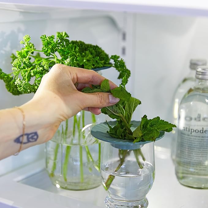 Modern Sprout Produce Keeper for Fresh Herbs & Greens - Eco-Friendly, BPA-Free, Sustainable Materials - Extends Freshness Up to 2 Weeks - Gift for Plant Lovers and Home Chefs - 2 Pack