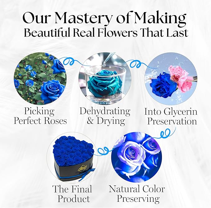 GLAMOUR BOUTIQUE 27 Flower Forever Heart Shape Box - Preserved Roses Gift for Her, Preserved Flowers, Blue