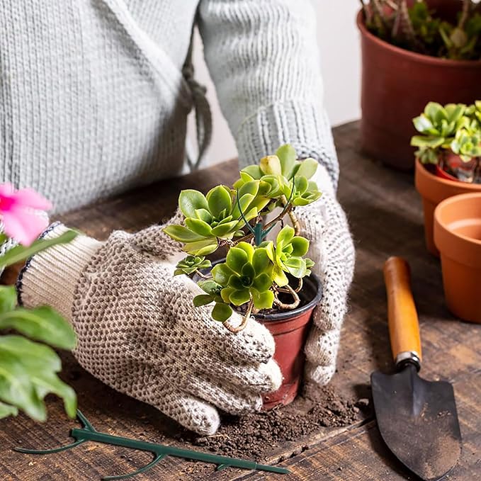 Stackable Monstera Plant Support Stakes, Suitable for Indoor and Outdoor Climbing Plants, Support Stakes for Growing Vines, Training Stems, Stabilizing and Supporting Growth (5 Pieces) (10PCS+A)