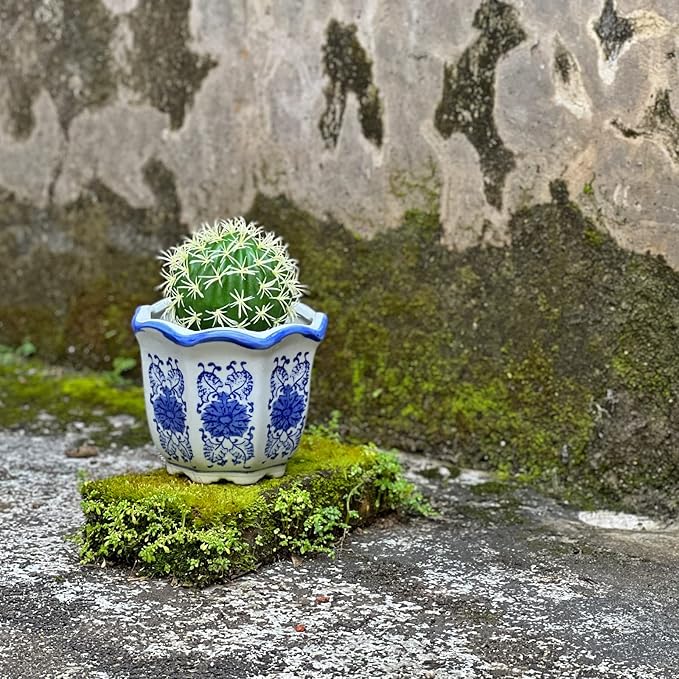 Ceramic Pots for Plants, Chinoiserie Décor Ceramic Flower Pots Planters for Indoor Plants with Drainage, Blue and White, Set of 3