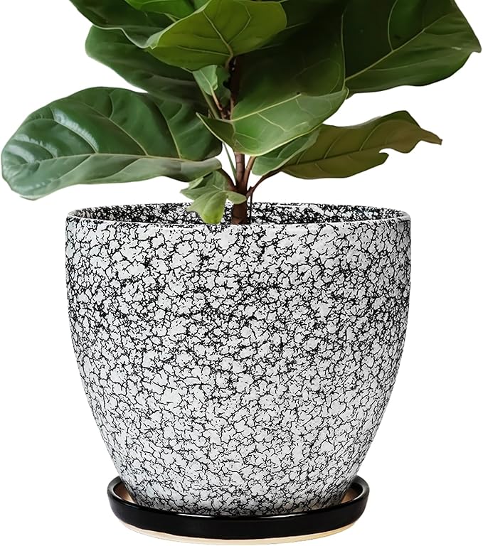 10 Inch Plant Pot - Ceramic Planter for Indoor Outdoor, Round Large Plant Pots, Modern Planter with Drainage Hole and Tray, Home Room Office Garden Decor, Gifts for Women Men, White-Black