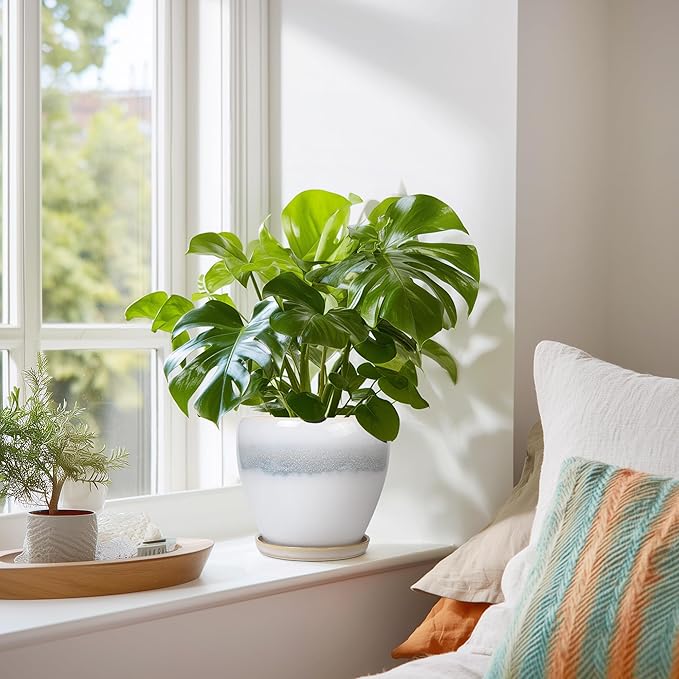 Ceramic Plant Pot - 6 Inch Ceramic Pots for Indoor Outdoor Plants, Decorative Planter with Drainage Hole and Saucer, Modern Plant Pots, Bedroom Room Decor, Plant Lover Gifts, White-Grey