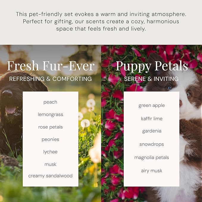 Air Esscentials The Diamond Gift Set, Pet-Preffered Smart Scent Air Machine for Home, Bluetooth Controlled, Waterless Fragrance Oil Diffuser, Puppy Petals & Fresh Fur-Ever Scents, White