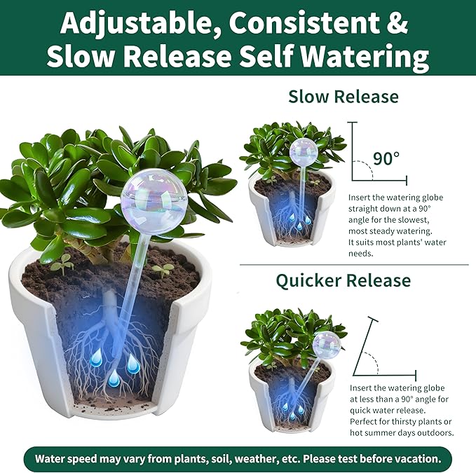 Extra-Thick Clear Glass Plant Watering Globes, Rainbow Gradient Self Watering Globes, Automatic Plant Waterer, Self Watering Planter Insert Spikes Devices for Everyday or Vacation Use, 2-Pack