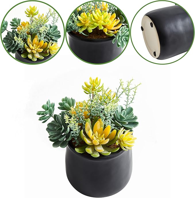 Artificial Succulents in Ceramic Pots 2 Pcs Large Fake Plants Matte Black Decor, for Desk, Bedroom, Living Room, Bathroom, Office, Bookshelf, Home Faux Decoration