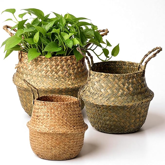 Set of 3 Woven Seagrass Belly Baskets with Handles, Natural Storage Basket Planters for Indoor Plants, Laundry, Picnic, Grocery and Home Decor