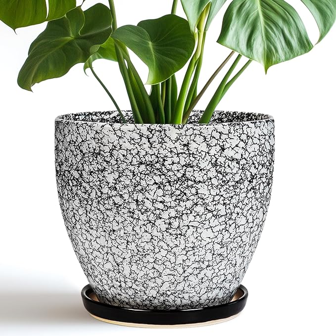 Ceraimc Plant Pot - 8 Inch Planter with Drainage and Saucer, Modern Round Planter, Flower Pot for Indoor Outdoor Plants, Home Room Garden Apartment Decor, Gifts for Plant Lovers, White-Black