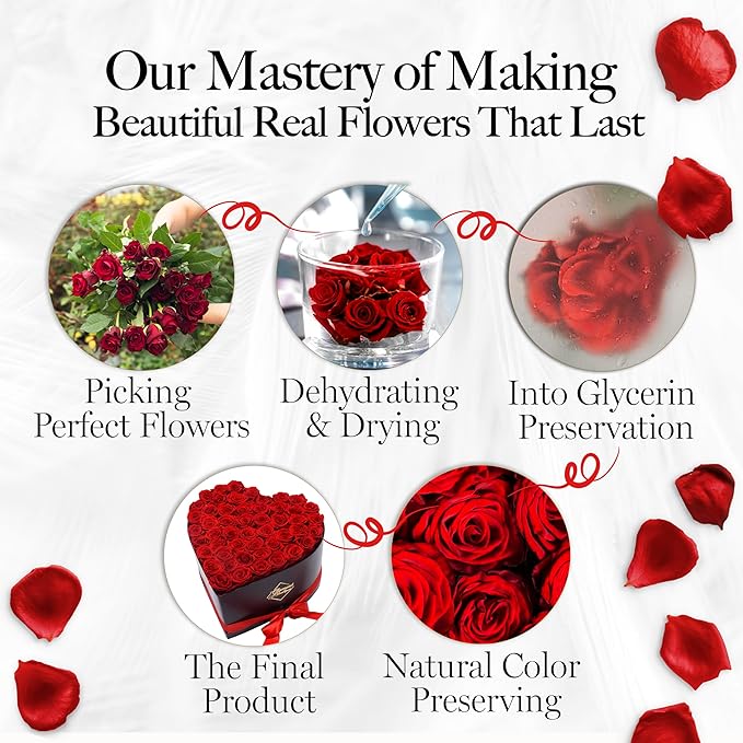 GLAMOUR BOUTIQUE 50 Flower Forever Heart Shape Box - Preserved Roses Gift for Her, Preserved Flowers, Red