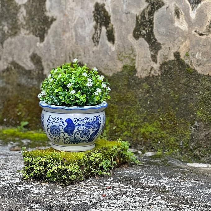 Blue and White Planters, Succulent Pots Ceramic Plant Pots Indoor with Drainage for Home Décor - Set of 3