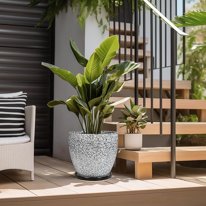 10 Inch Plant Pot - Ceramic Planter for Indoor Outdoor, Round Large Plant Pots, Modern Planter with Drainage Hole and Tray, Home Room Office Garden Decor, Gifts for Women Men, White-Black