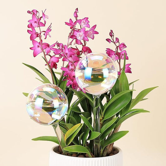 6.4 oz Medium Plant Self Watering Globes, Light Iridescent Glass Water Bulb for Indoor Plants Vacation Use, Automatic Plant Waterer, Watering Spikes Stakes, Perfect Gardening Gifts, 2 Pack