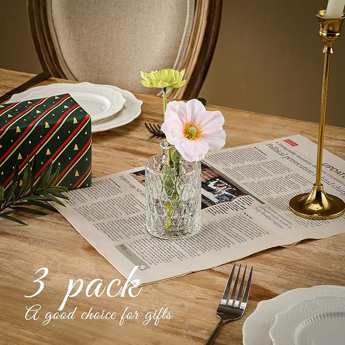 Glass Bud Vase Set of 3 Pcs Small Minimalist Vases for Flowers, Vintage Rustic Home Decor for Table Centerpiece Wedding Party, Modern Clear Aromatherapy Bottle for Living Room Bedroom