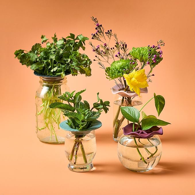 Modern Sprout Botanical and Produce Keeper for Floral Arranging, Herb Keeping, and Plant Propagation - Food Safe and BPA-Free, Sustainable Materials, Hydration Tray - Extends Freshness - 2 Pack