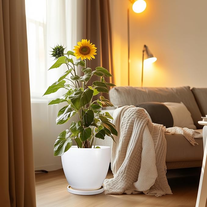 Ceramic Planter - 10 Inch Plant Pot with Drainage Hole and Tray, Flower Pot Planters for Indoor Plants, Modern Room Garden Patio Bathroom Living Room Porch Home Decor， White