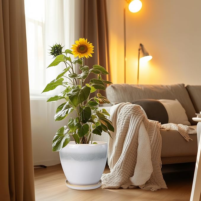 Ceramic Planter - 10 Inch Plant Pot with Drainage Hole and Plant Saucer, Round Decorative Large Flower Pots Indoor Outdoor, Home Patio Porch Room Decor, Birthday Gifts, White-Grey