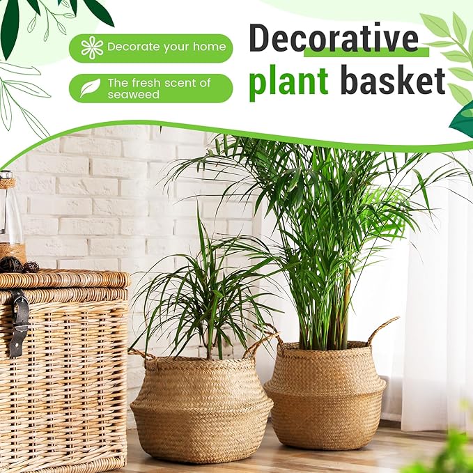 2 Pack Large Wicker Plant Basket with Handle 10 Inch Woven Seagrass Belly Basket and Artificial Moss for Plants Picnic Grocery Laundry House Storage Home Decor (Large)