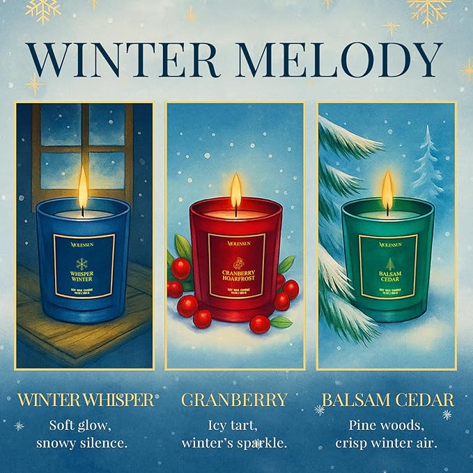 Winter Candles Gift Set, 3 Pack Total 30oz Soy Scented Candles in Luxury Gift Box, Christmas Birthday & Holiday Gifts for Women & Men, Long Lasting Non-Toxic Clean Burn, Winter Festive Home Decor