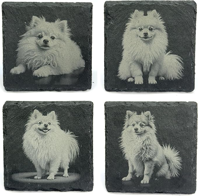 Pomeranian Laser Engraved Slate Coaster Set of 4