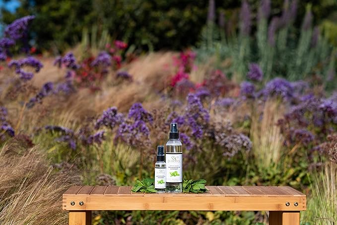 EuroSpa Aromatics Pure Eucalyptus Oil ShowerMist and Steam Room Spray, All-Natural Premium Aromatherapy Essential Oils - Menthol Infused, 8oz, 2 Pack