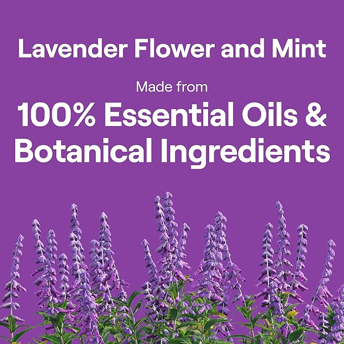 Seventh Generation Hand Dish Wash Refill, Lavender Floral & Mint, 3pk 50z