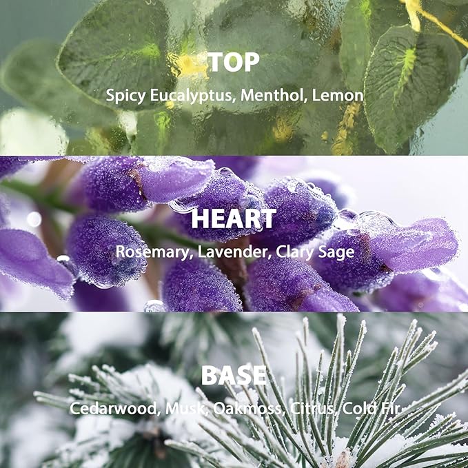 Lavender Eucalyptus Reed Diffuser Set, Large 9.85oz (280ml) Aroma Scented Oil Diffuser with Sticks, Long-Lasting Home Fragrance for Bedroom, Bathroom & Office Decor, Ideal Gift for Women