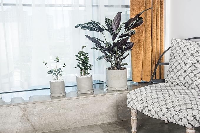 Ekirlin 9 Inch Flower Plant Pot Indoor - Grey Cement Garden Planter Concrete Planter with Drain Hole Saucer, Modern Succulents Containers for Home Decor, Office & Outdoor