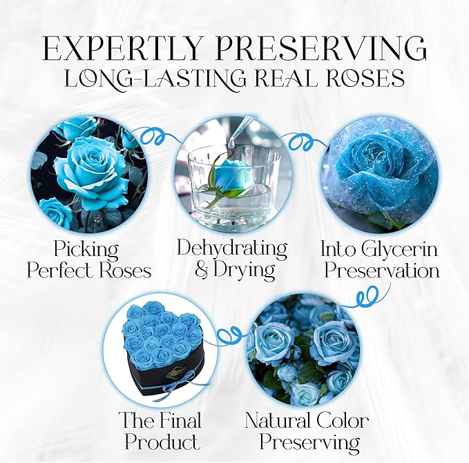 GLAMOUR BOUTIQUE 16 Flower Forever Heart Shape Box - Preserved Roses Gift for Her, Preserved Flowers, Teal