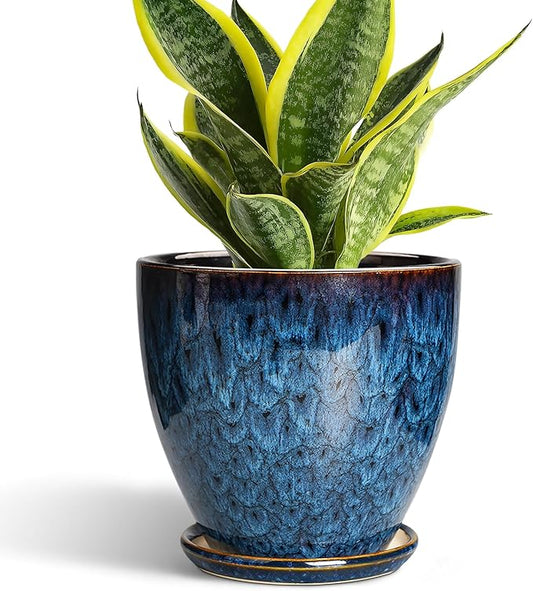 6 Inch Plant Pot - Ceramic Pots for Plants with Drainage Hole and Saucer, Ceramic Planters for Indoor Plants Outdoor, Decorative Round Planter, Room Home Decor, Gifts for Plant Lovers, Blue
