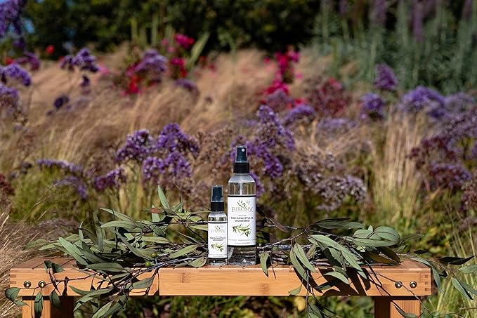 EuroSpa Aromatics Pure Eucalyptus Oil ShowerMist and Steam Room Spray, All-Natural Premium Aromatherapy Essential Oils - Pure Eucalyptus, Duo Pack, 8oz and 2oz