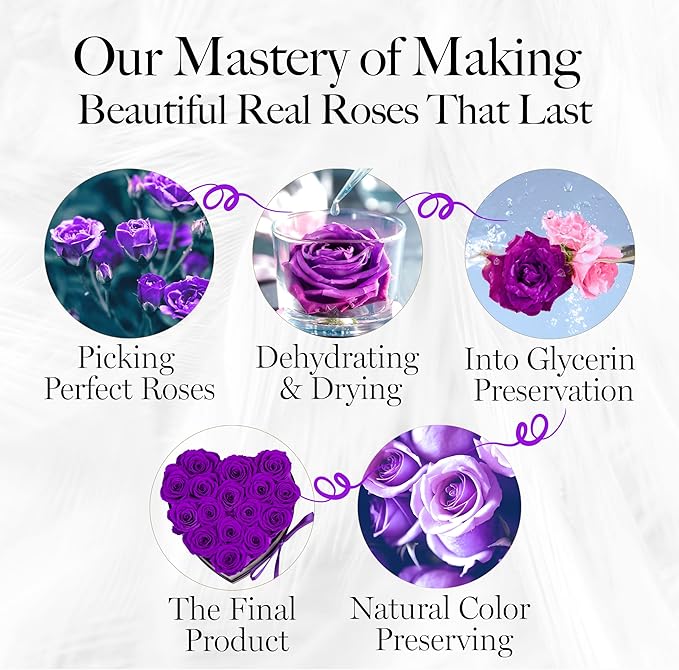 GLAMOUR BOUTIQUE 16 Flower Forever Heart Shape Box - Preserved Roses Gift for Her, Preserved Flowers, Purple